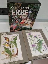 Enciclopedia Erbe e Fiori