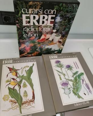 Enciclopedia Erbe e Fiori
