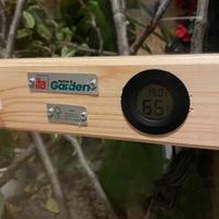 Teca adatta a camaleonti o iguana