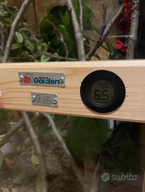 Teca adatta a camaleonti o iguana