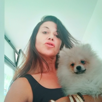 Splendidi Pomerania e Barboncini Toy