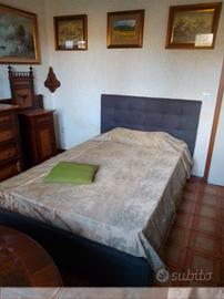 Camera singola a 260,00 mensili