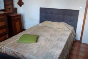 Camera singola a 260,00 mensili