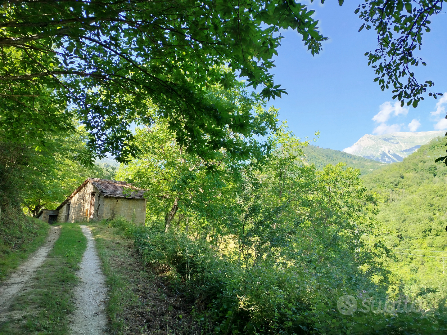 Casolare più terreno - Vista 2