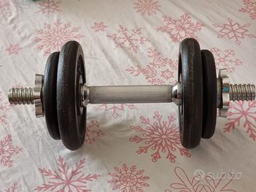 Manubrio palestra 10 kg