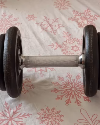 Manubrio palestra 10 kg