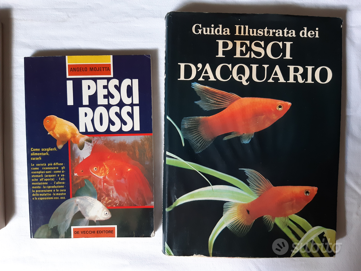 3 Pesci Tropicali + 2 Pesci Rossi + 2 Libri Pesci - Animali In vendita a  Vicenza