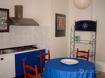 Ampio bilocale non distante dal mare