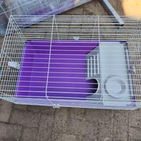 Gabbia per Tartarughe