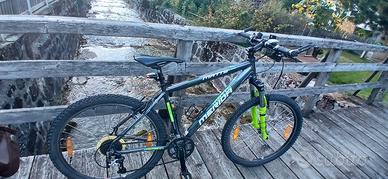 Mountain bike