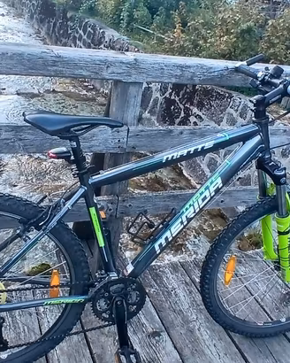 Mountain bike