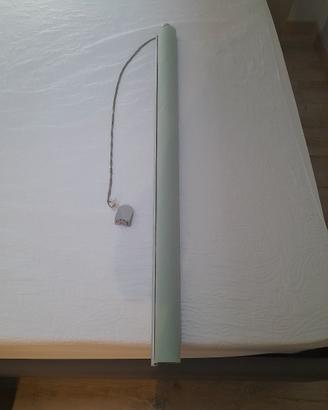 tenda a rullo filtrante verde