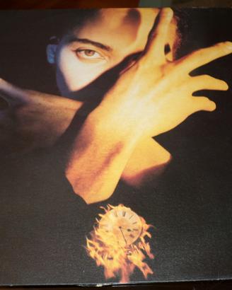 TERENCE TRENT D'ARBY  Neither Fish Nor Flesh LP 33