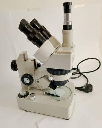 Microscopio stereo Euromex Holland Mic 1630 ZS