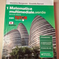 Matematica multimediale.verde 1