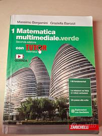 Matematica multimediale.verde 1