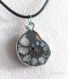 Ciondolo di Ammonite Fossile