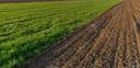 terreno-di-67000-m²-a-solesino