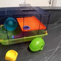 gabbia per criceto completa