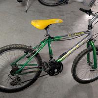 Bicicletta bambino raggio 20