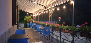 Attività commerciale