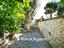 Immagine 29