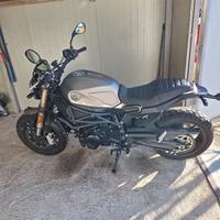 Benelli Leoncino 800