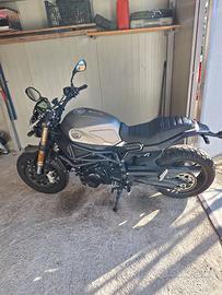 Benelli Leoncino 800