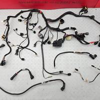 CABLAGGIO IMPIANTO DUCATI MONSTER 796 2010 2014 AB