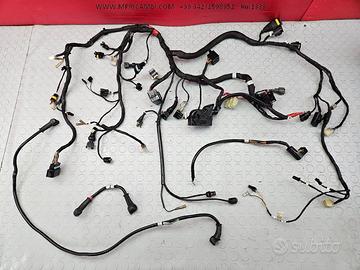 CABLAGGIO IMPIANTO DUCATI MONSTER 796 2010 2014 AB