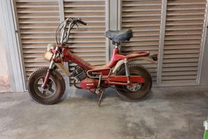 Motorino benelli 50