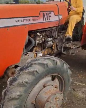 Trattori massey ferguson 275