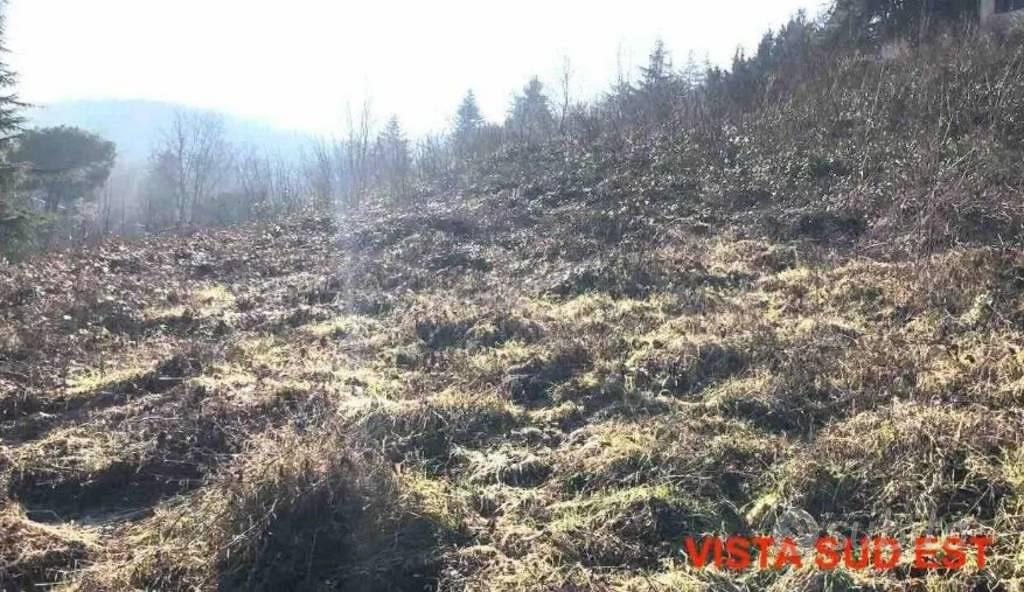 Immobile in asta di 2060 m² a Gazzola - Vista 2
