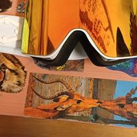 occhiali da sci out of