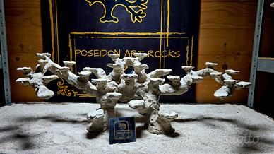 Rocce acquario Marino