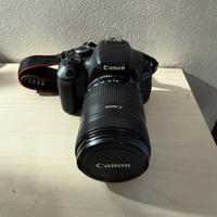 Canon EF-S 18-135mm 1:3.5-5.6 IS