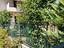 Immagine 29