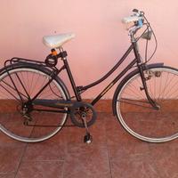 Bicicletta vintage 