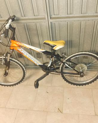 Bicicletta da bambino