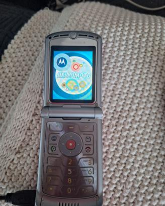 Motorola rosa del 2008