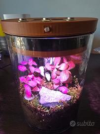 Terrario Intelligente 