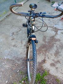 bicicletta