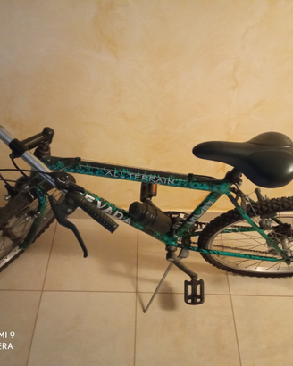 Mountain bike Nevada