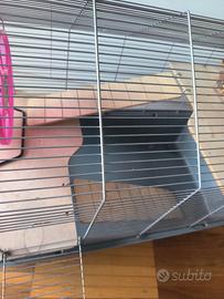 gabbia per criceti