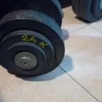 Pesi da palestra