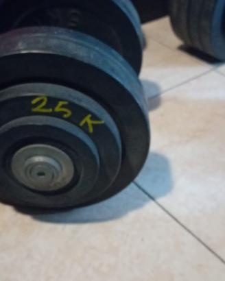 Pesi da palestra