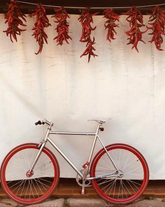 Bici scatto fisso