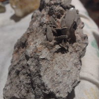 Minerali valle Formazza