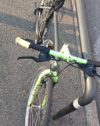 Bici usata Marin + catena