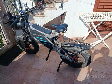 bicicletta elettrica 